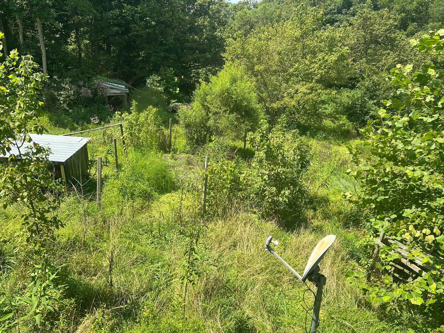 Image for SOLD $20,900 - Lumberport 2 Bedroom Selling to the Highest Bidder