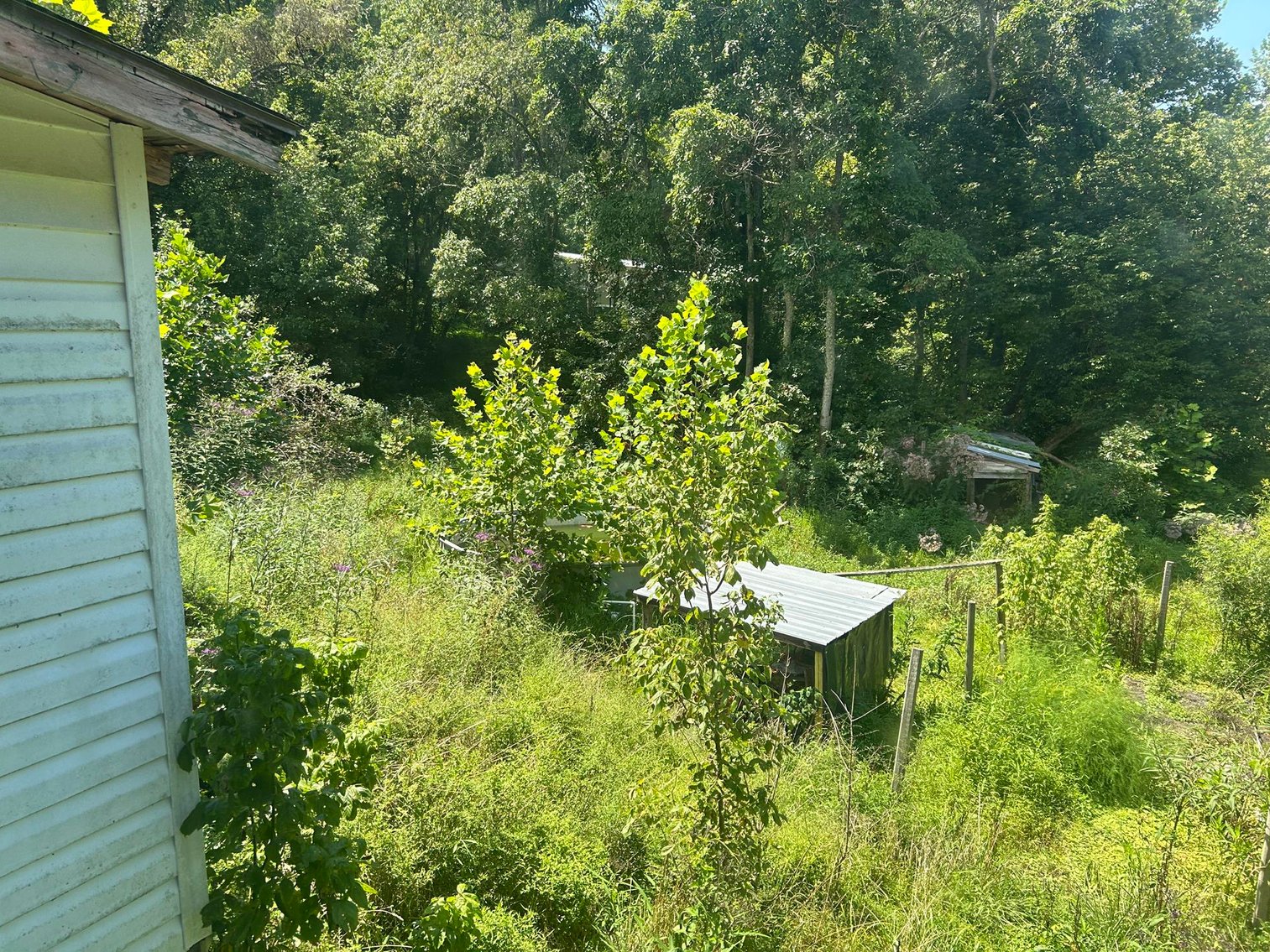 Image for SOLD $20,900 - Lumberport 2 Bedroom Selling to the Highest Bidder