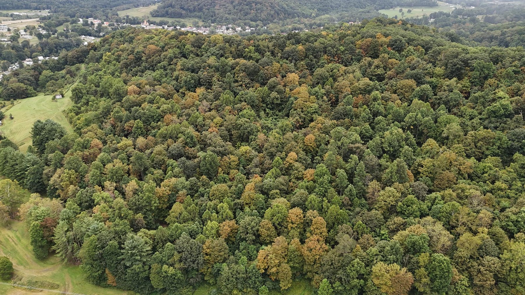 Image for SOLD $121,000 - 43 +/- Acres Prime for Development in Mt Morris