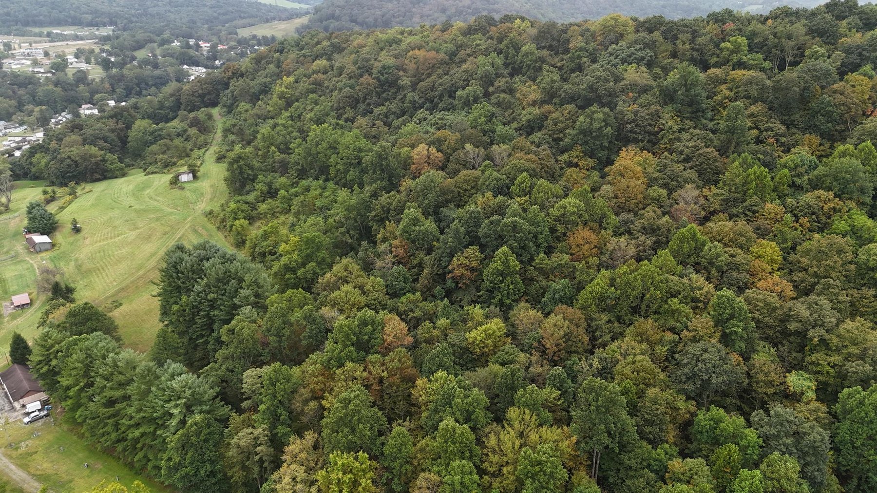 Image for SOLD $121,000 - 43 +/- Acres Prime for Development in Mt Morris