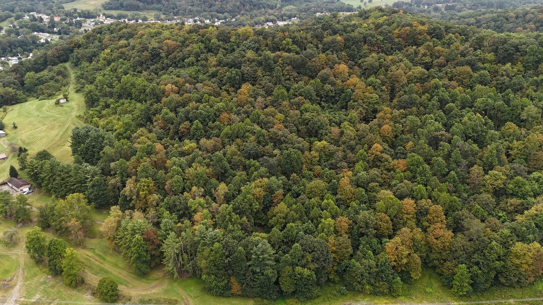 Image for SOLD $121,000 - 43 +/- Acres Prime for Development in Mt Morris