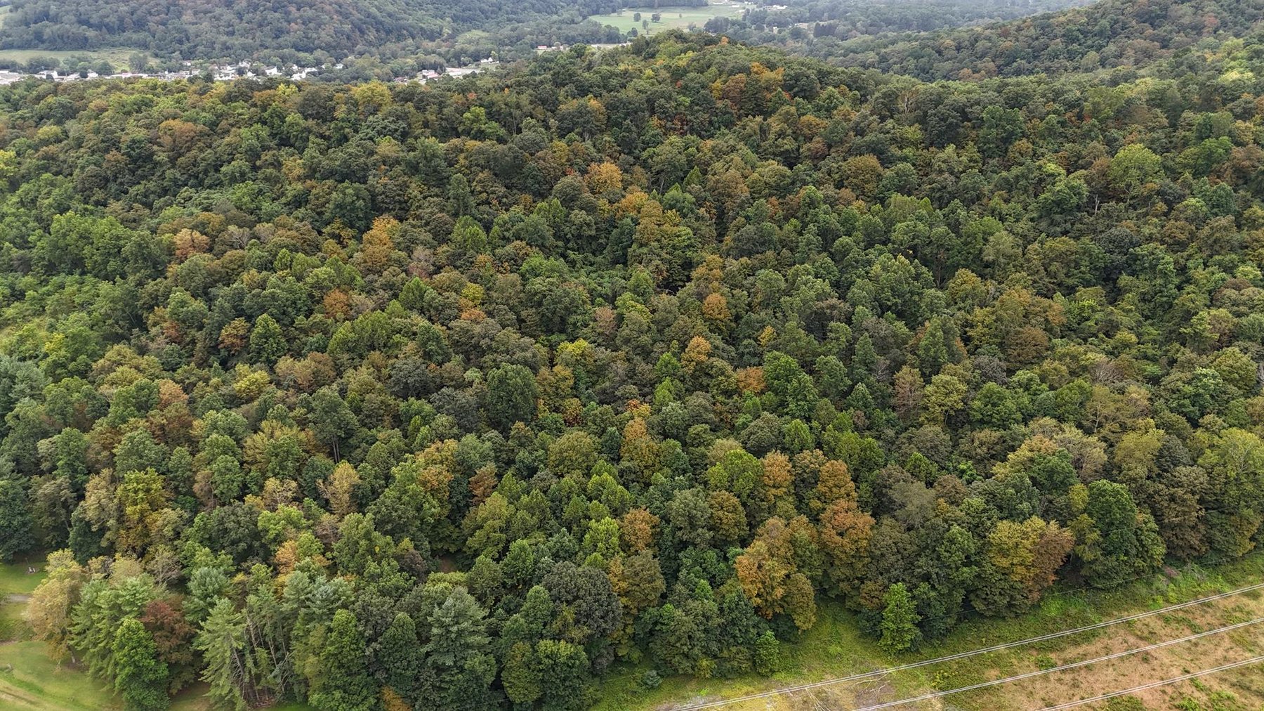 Image for SOLD $121,000 - 43 +/- Acres Prime for Development in Mt Morris