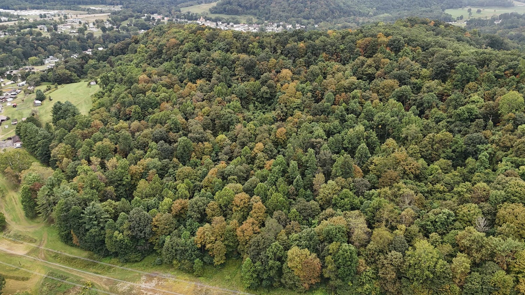 Image for SOLD $121,000 - 43 +/- Acres Prime for Development in Mt Morris