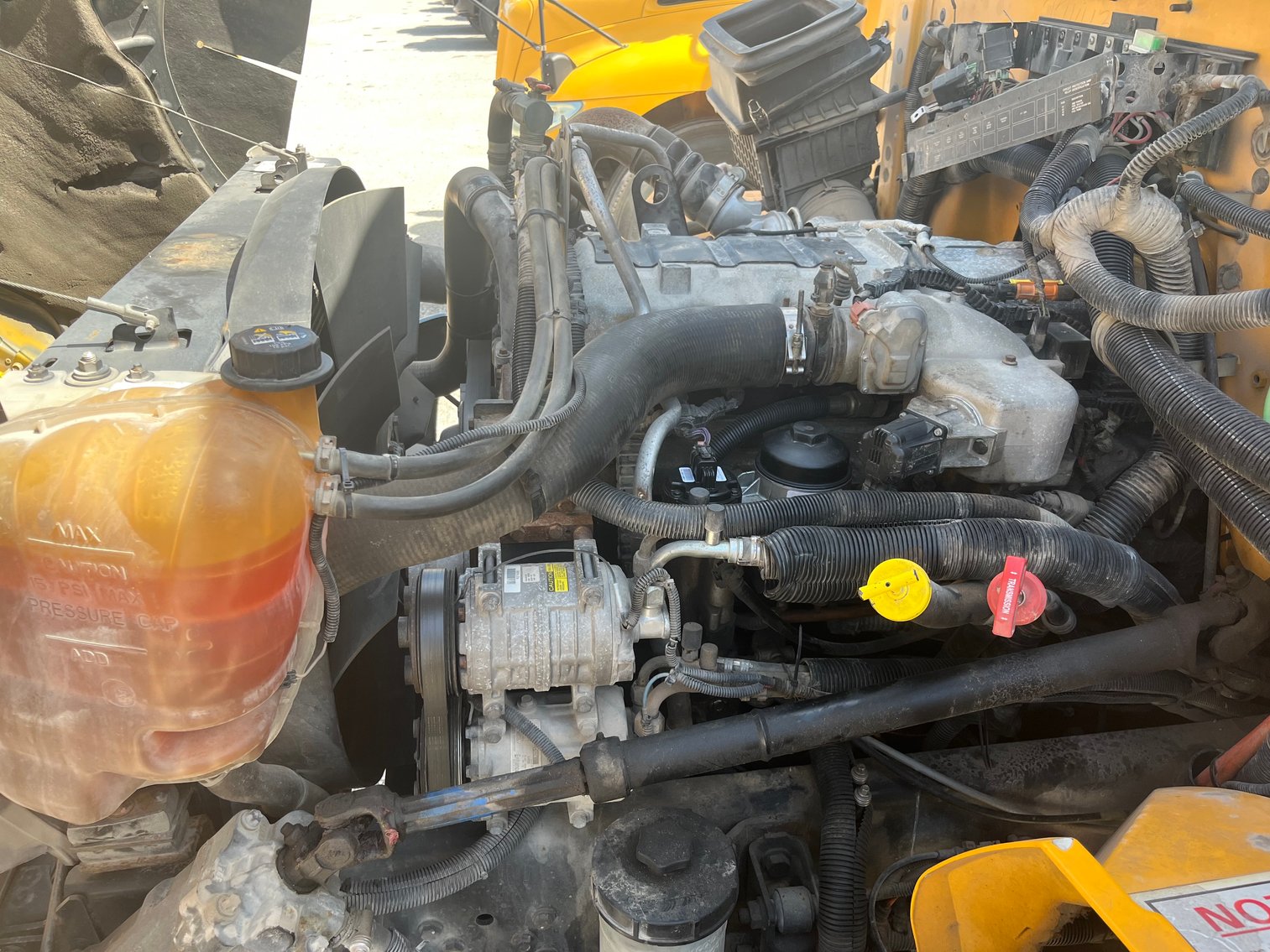 Image for Hempstead Independent School District (School Bus) - Hempstead, TX 77445