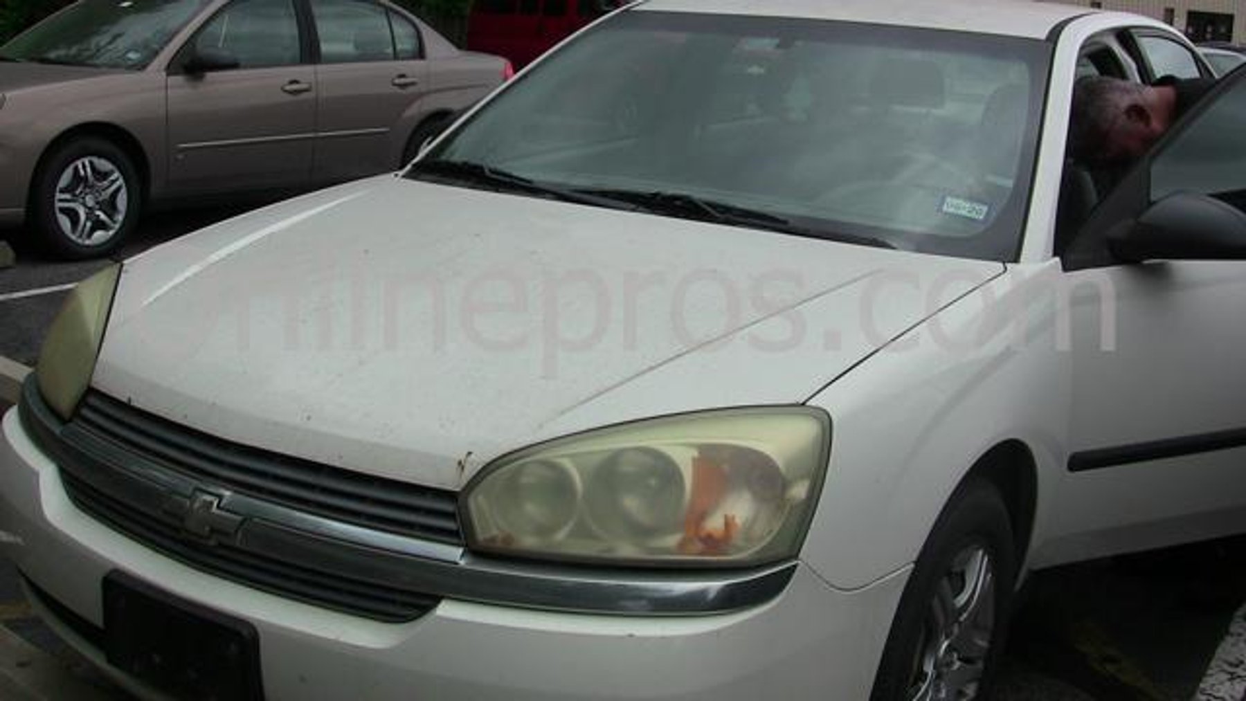 Image for Texana Center - Rosenberg, TX