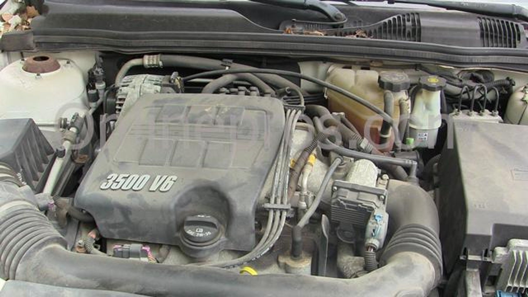 Image for Texana Center - Rosenberg, TX