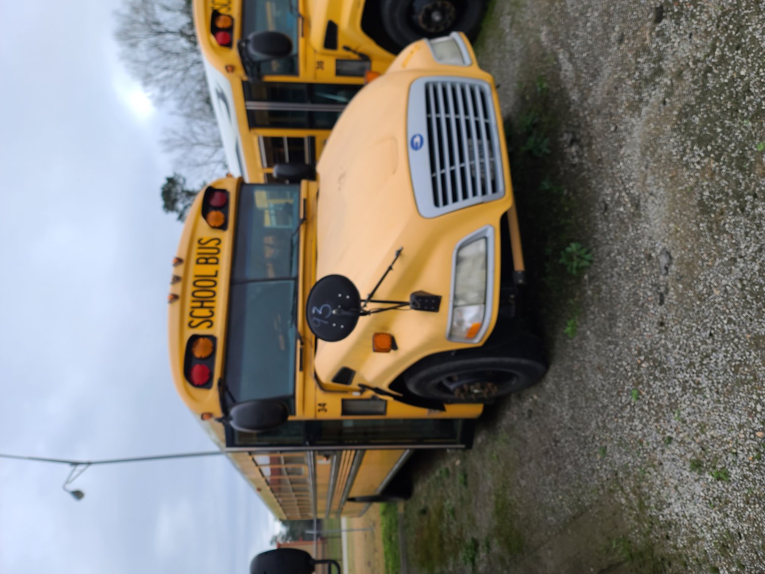 Image for Lumberton Independent School District (Buses)  - Lumberton, TX 77657