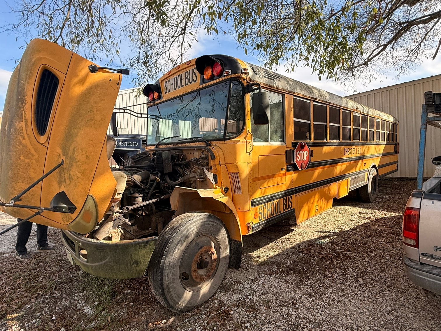 Image for Chester Independent School District (School Bus) - Chester, TX 75936