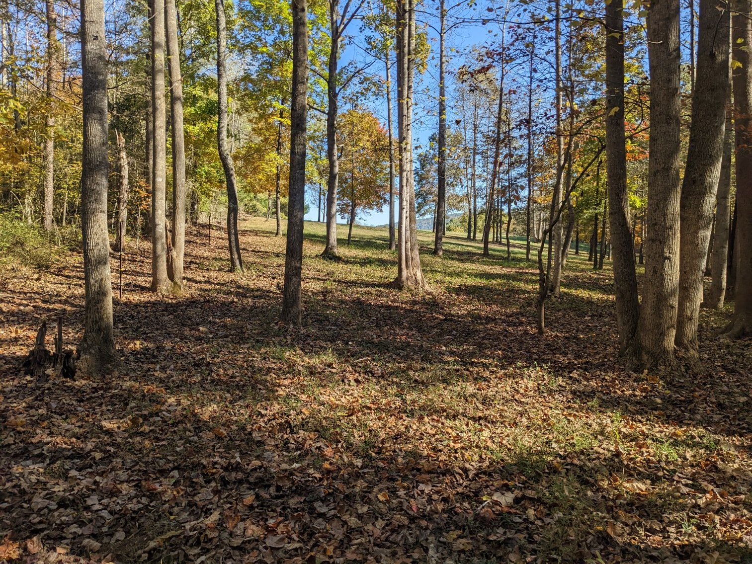 Image for 5 Bedroom 3 Bath Home On 5.79 Acres In Greene County VA