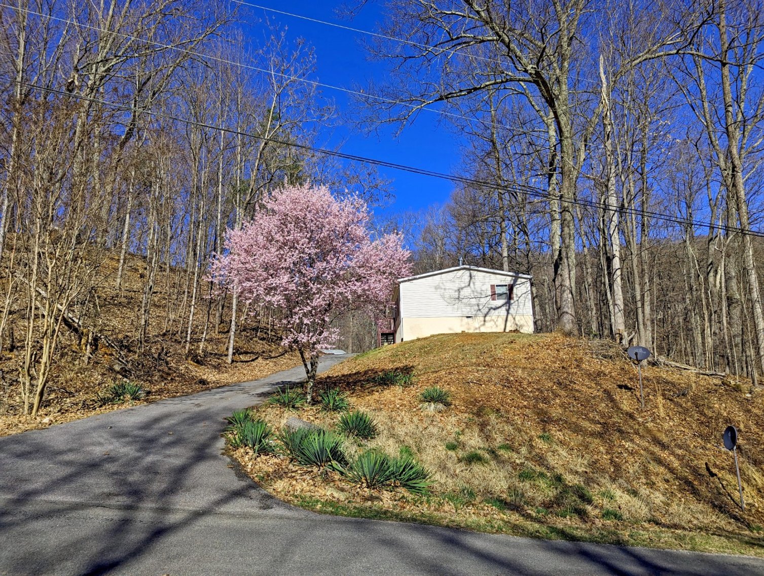 Image for Four Bedroom Home on 1.3 +/- Acres Near Vinton VA