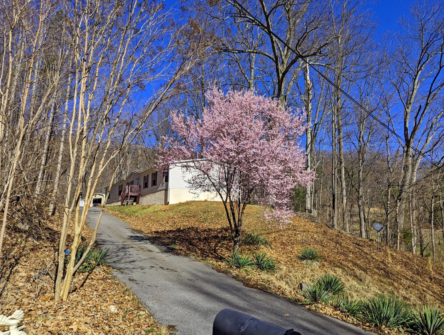 Image for Four Bedroom Home on 1.3 +/- Acres Near Vinton VA