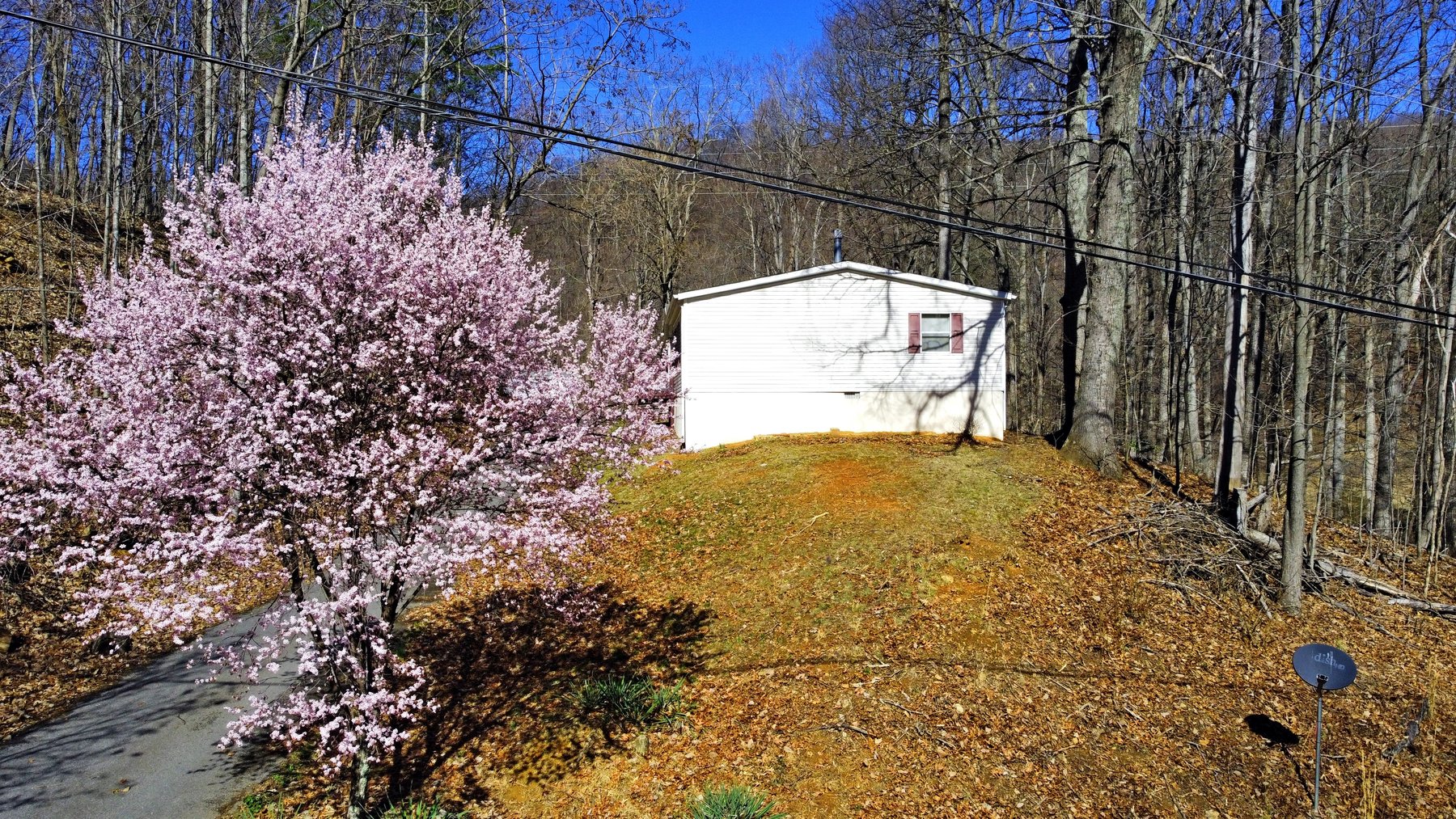 Image for Four Bedroom Home on 1.3 +/- Acres Near Vinton VA