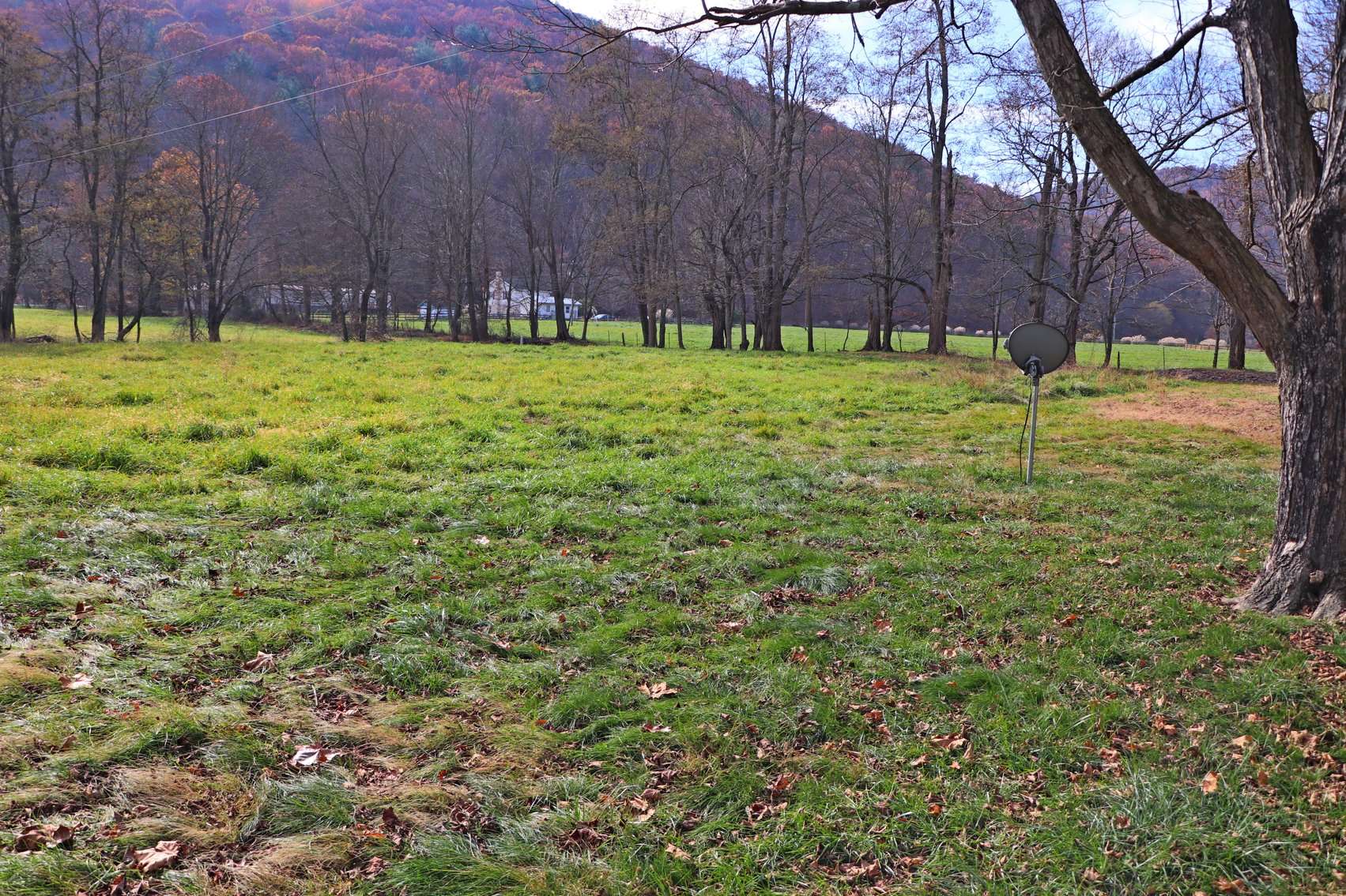 Image for Three Bedroom House On 2.46 +/- Acres In Criders VA