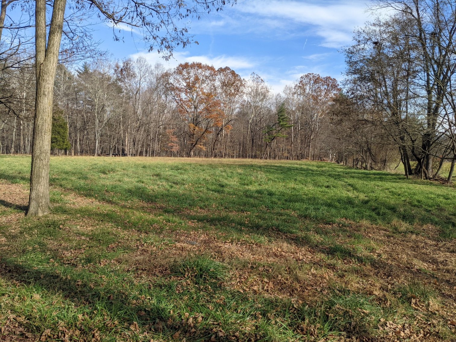 Image for Three Bedroom House On 2.46 +/- Acres In Criders VA