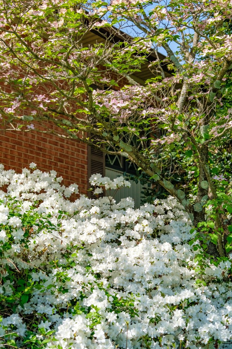 Image for Beautiful Brick Home On Large Lot In Mint Spring VA