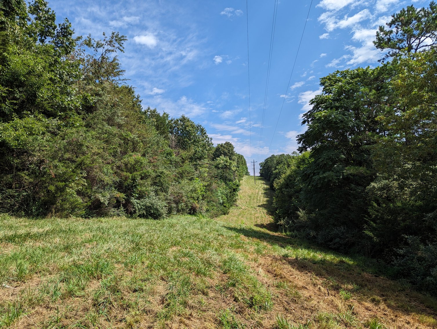 Image for Top Of The Mountain - 55 Acres Zoned SF Residential In Mount Sidney VA