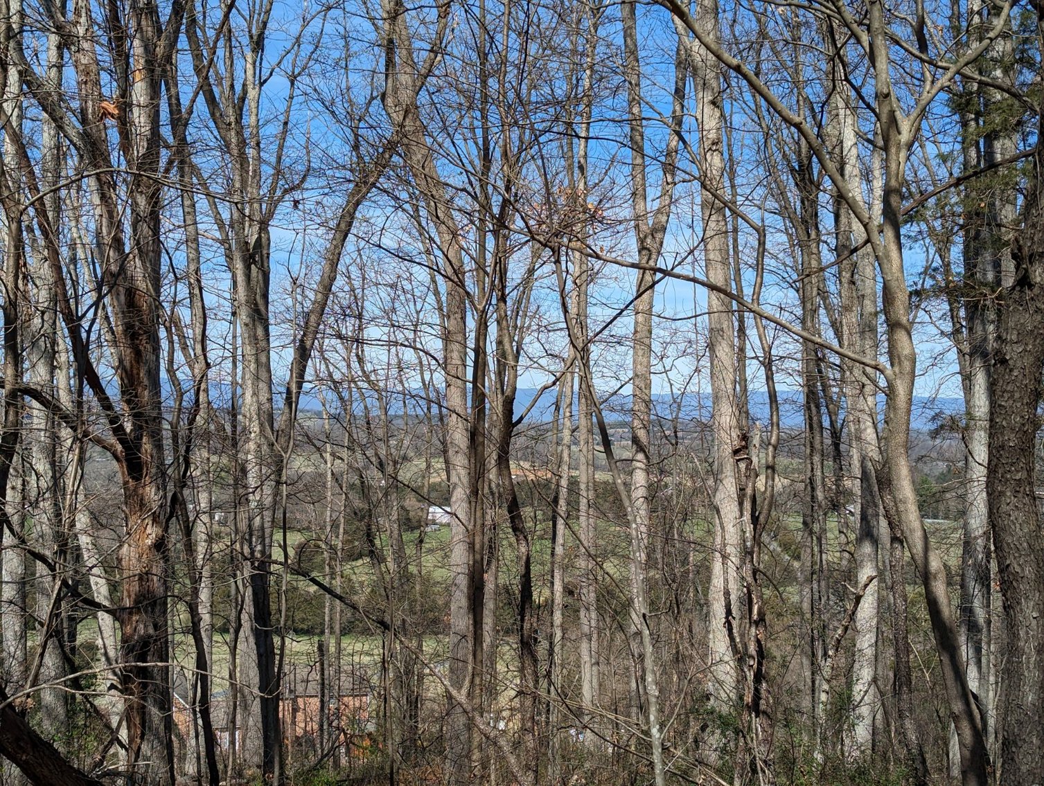 Image for Top Of The Mountain - 55 Acres Zoned SF Residential In Mount Sidney VA