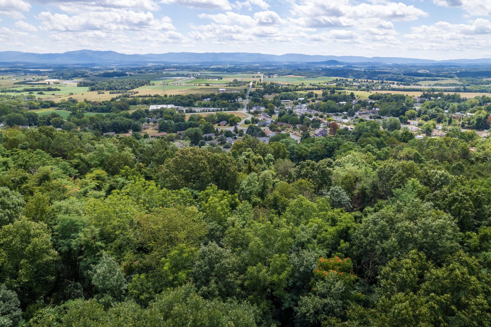 Image for Top Of The Mountain - 55 Acres Zoned SF Residential In Mount Sidney VA