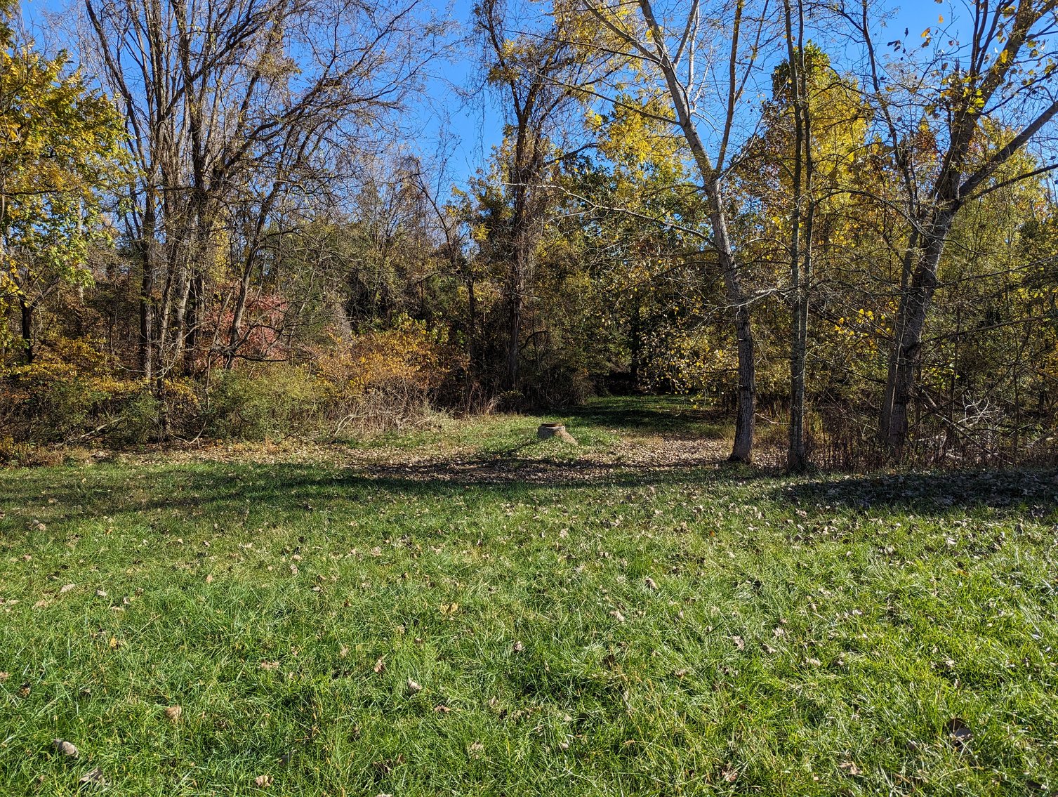 Image for Five Acres Of Residential Land In City Of Staunton