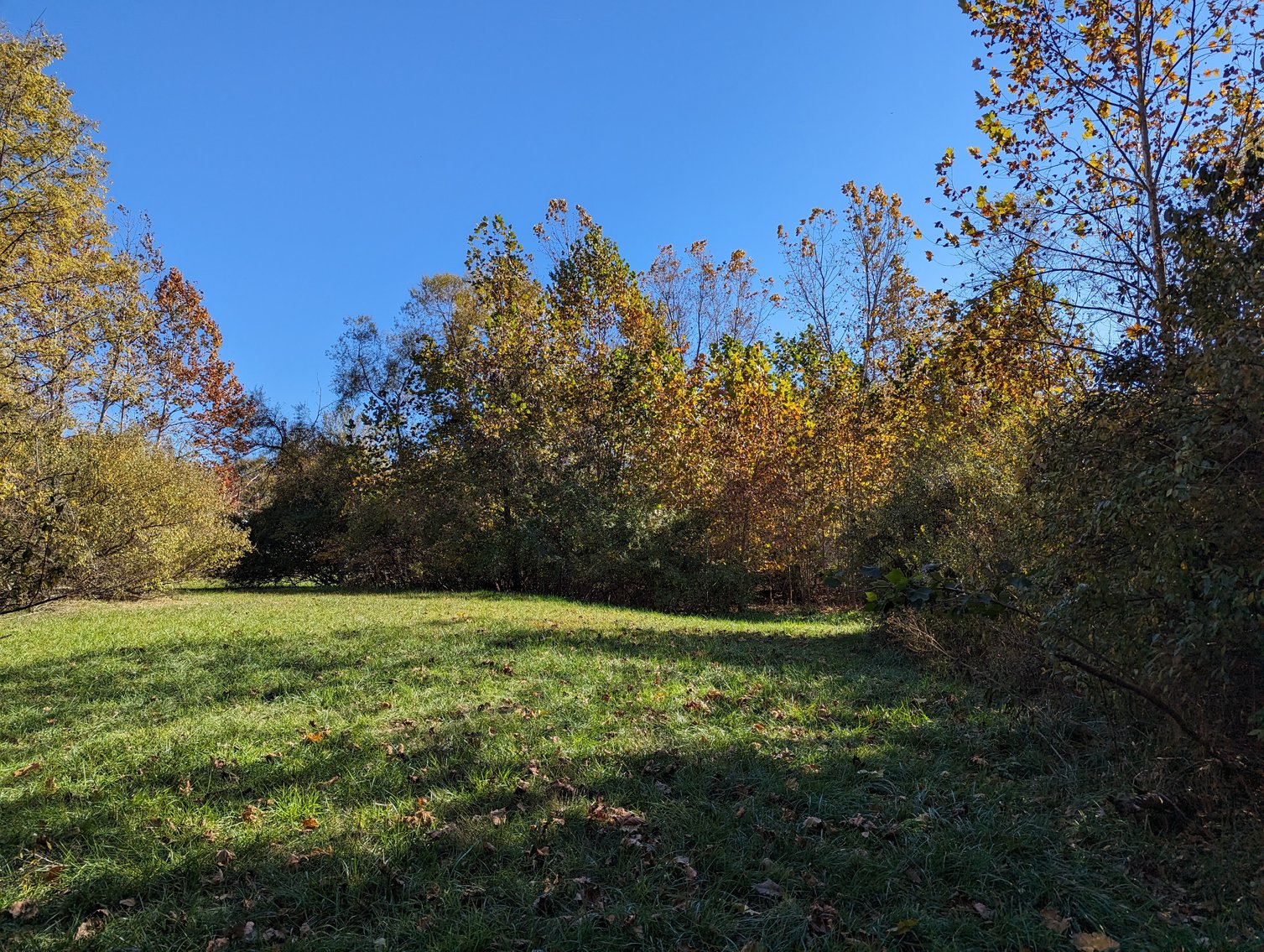 Image for Five Acres Of Residential Land In City Of Staunton
