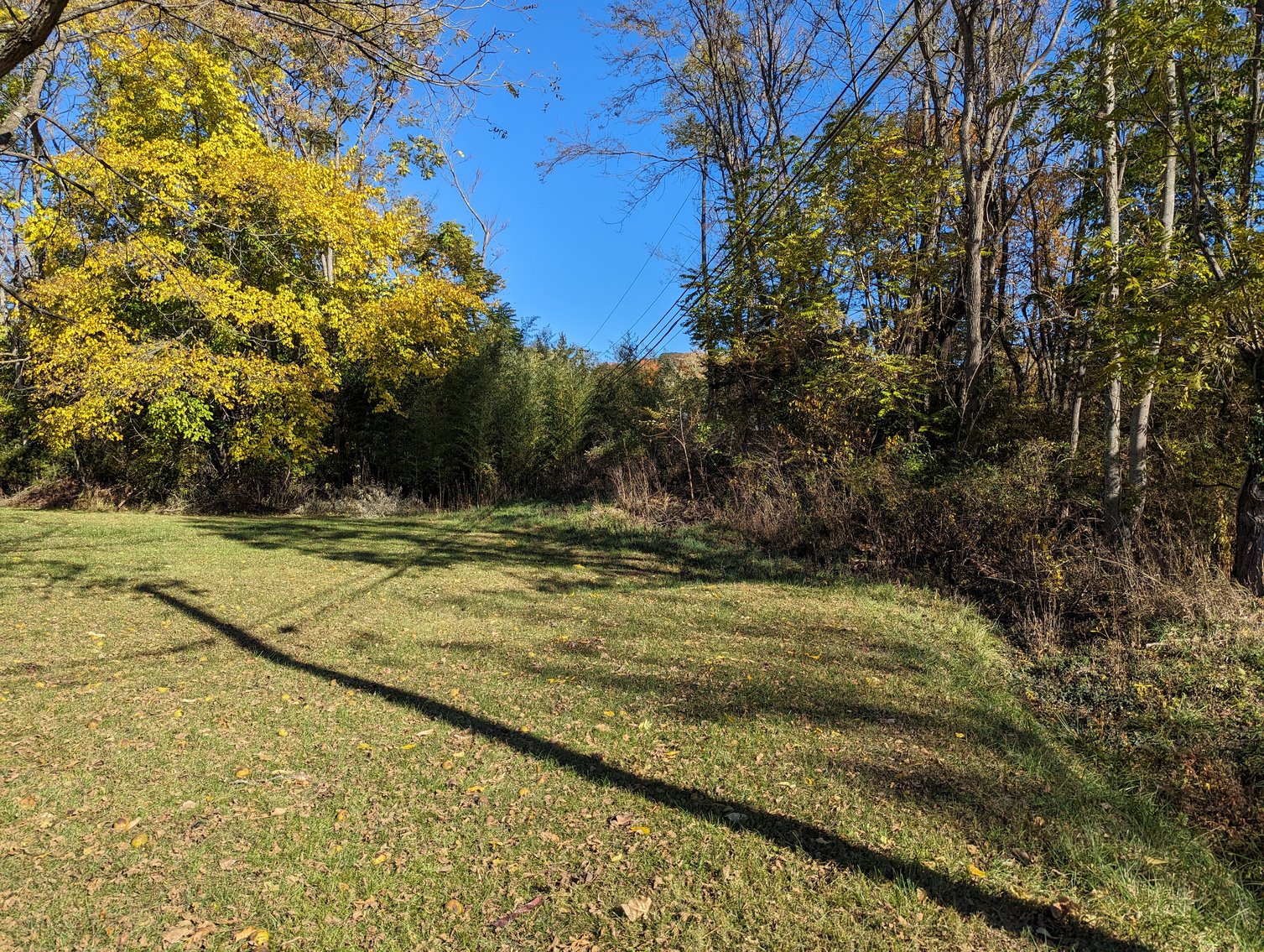 Image for Five Acres Of Residential Land In City Of Staunton
