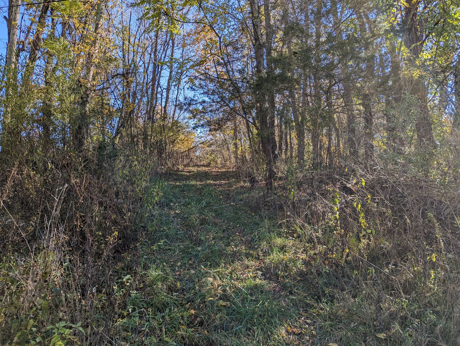 Image for Five Acres Of Residential Land In City Of Staunton