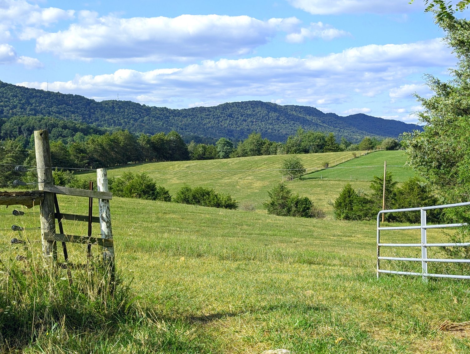 Image for 70 +/- Acres With Farmhouse And Outbuildings Near Singers Glen VA