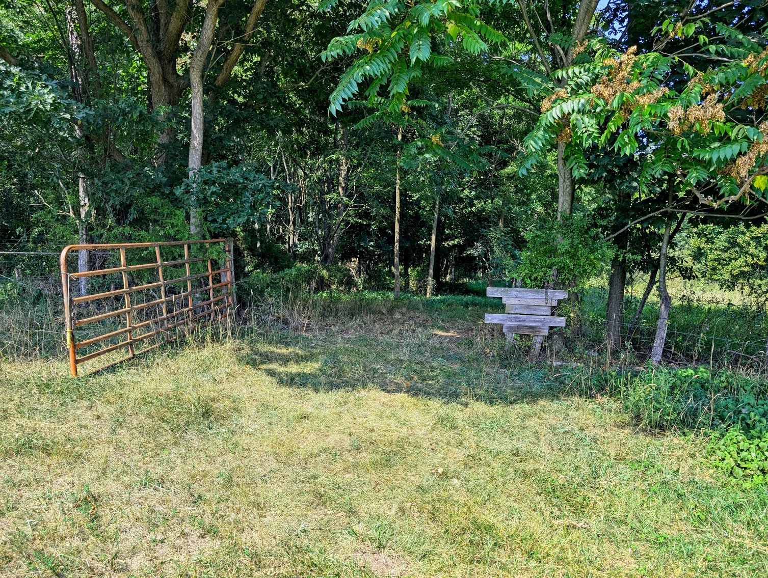 Image for 70 +/- Acres With Farmhouse And Outbuildings Near Singers Glen VA