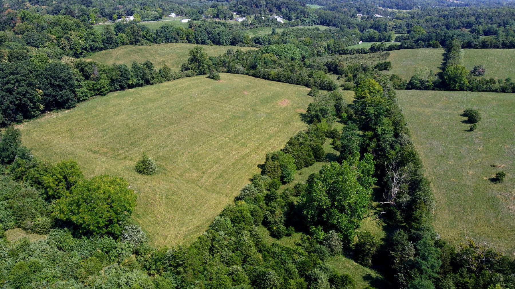 Image for 70 +/- Acres With Farmhouse And Outbuildings Near Singers Glen VA