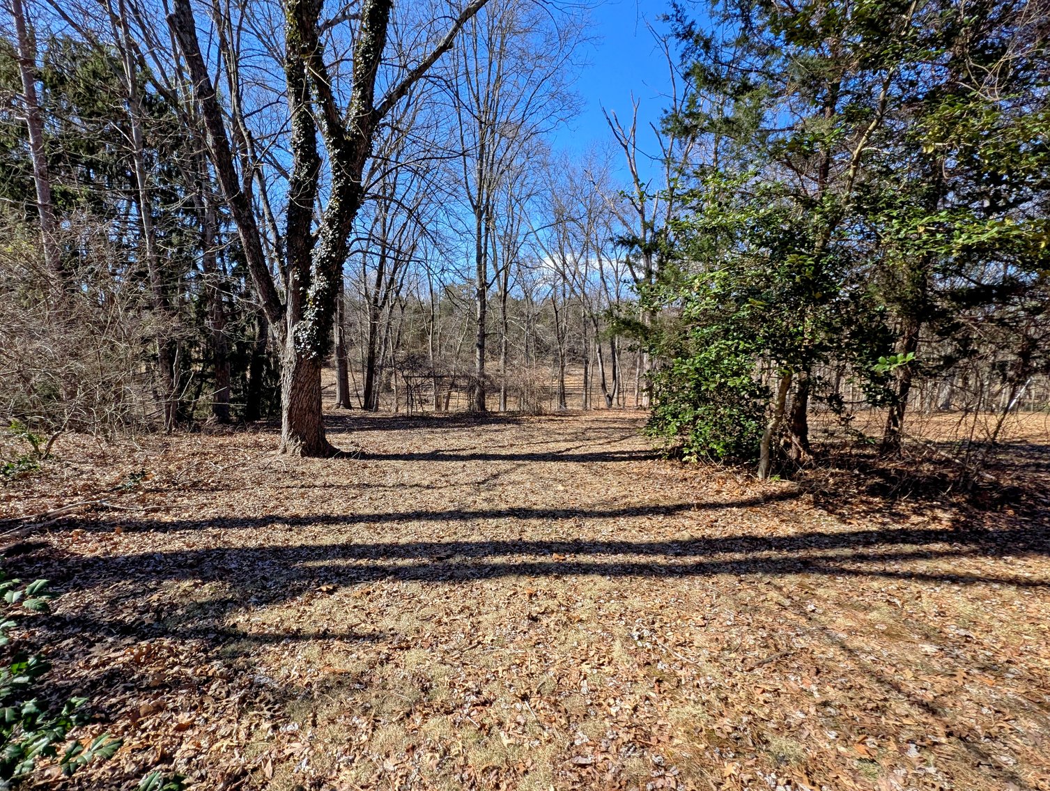 Image for 3 Bedroom Home On 1.6 +/- Acres In Haymarket VA