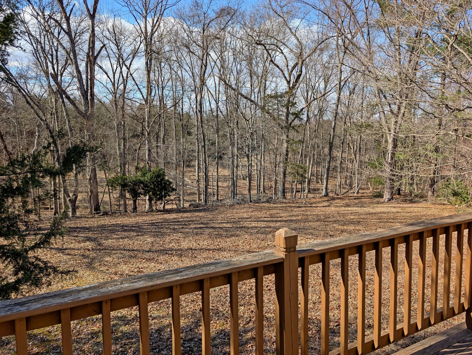 Image for 3 Bedroom Home On 1.6 +/- Acres In Haymarket VA