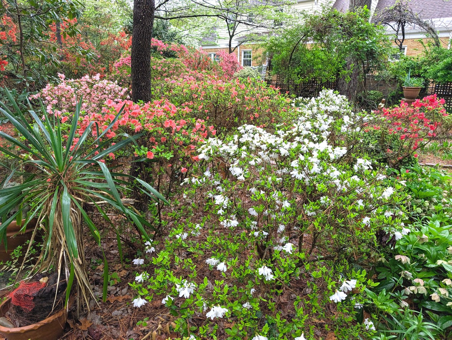 Image for 4 Bedroom Home in Warwick on the James - Newport News VA