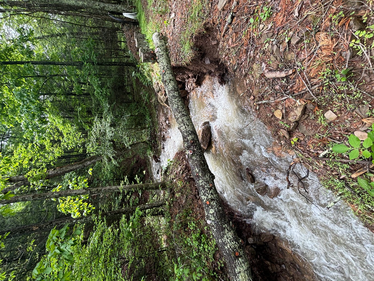 Image for Cabin On 60 Acres Near Criders VA