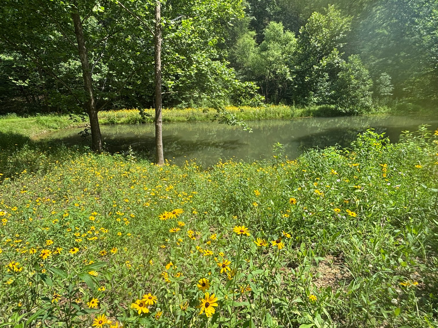 Image for Cabin On 60 Acres Near Criders VA