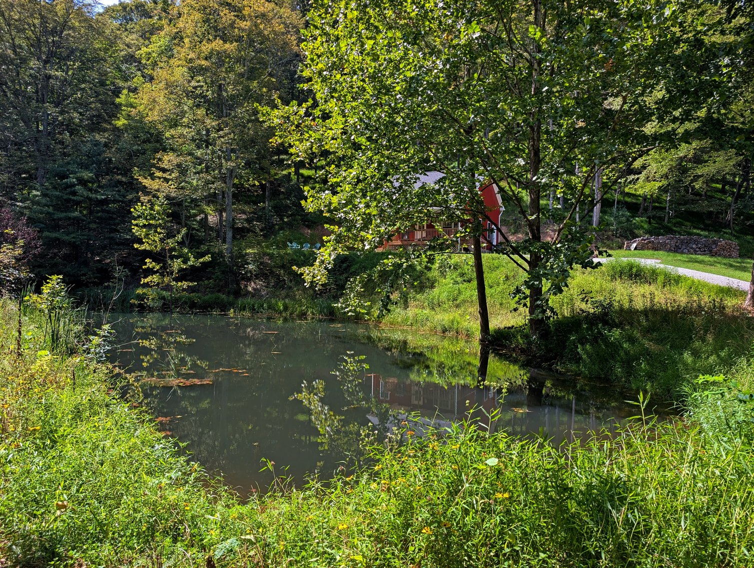 Image for Cabin On 60 Acres Near Criders VA