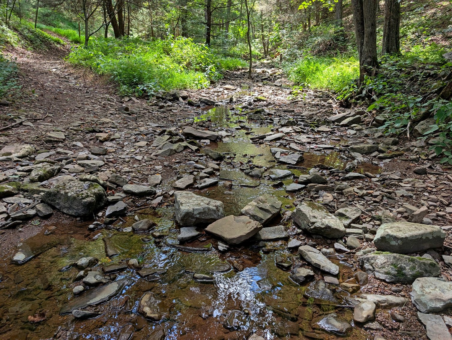 Image for Cabin On 60 Acres Near Criders VA