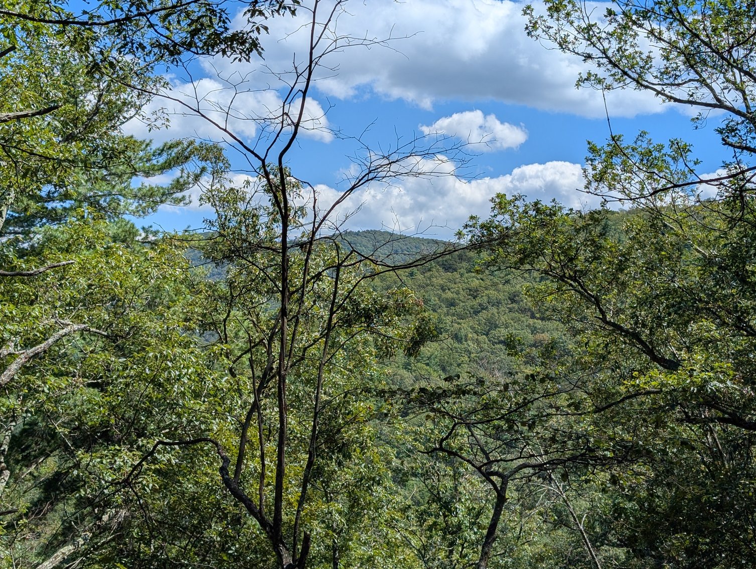 Image for Cabin On 60 Acres Near Criders VA