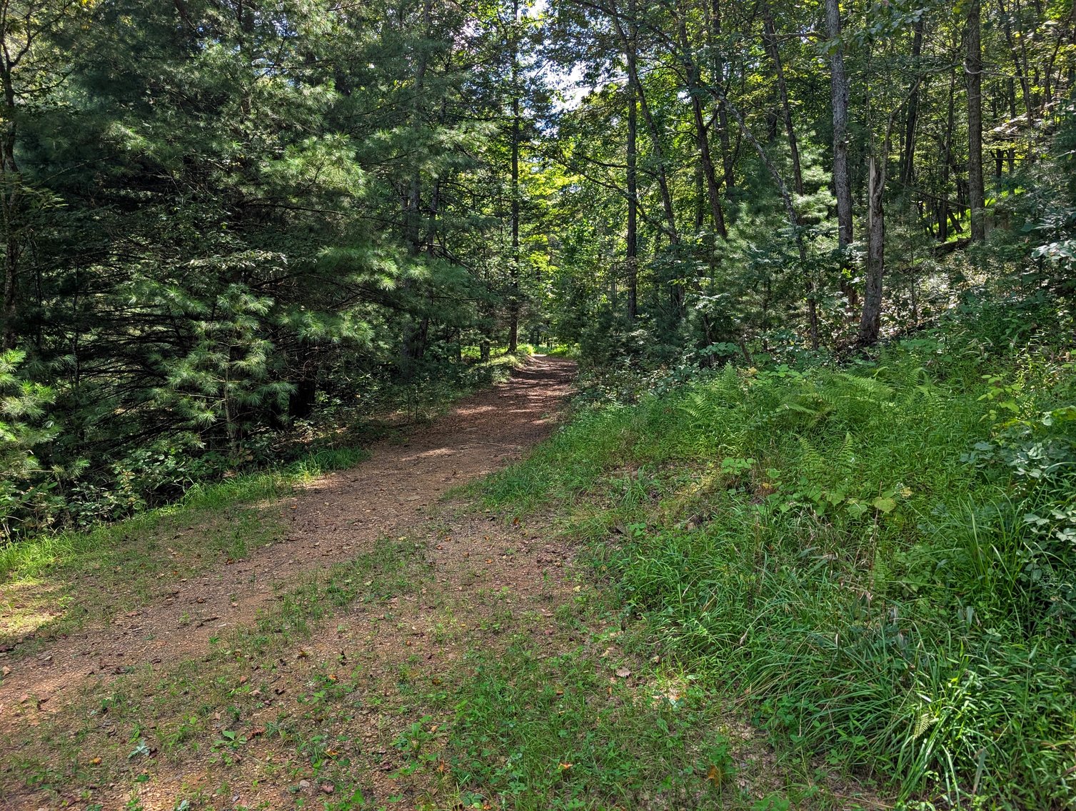 Image for Cabin On 60 Acres Near Criders VA