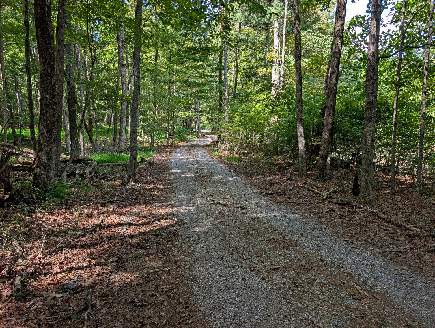 Image for Cabin On 60 Acres Near Criders VA