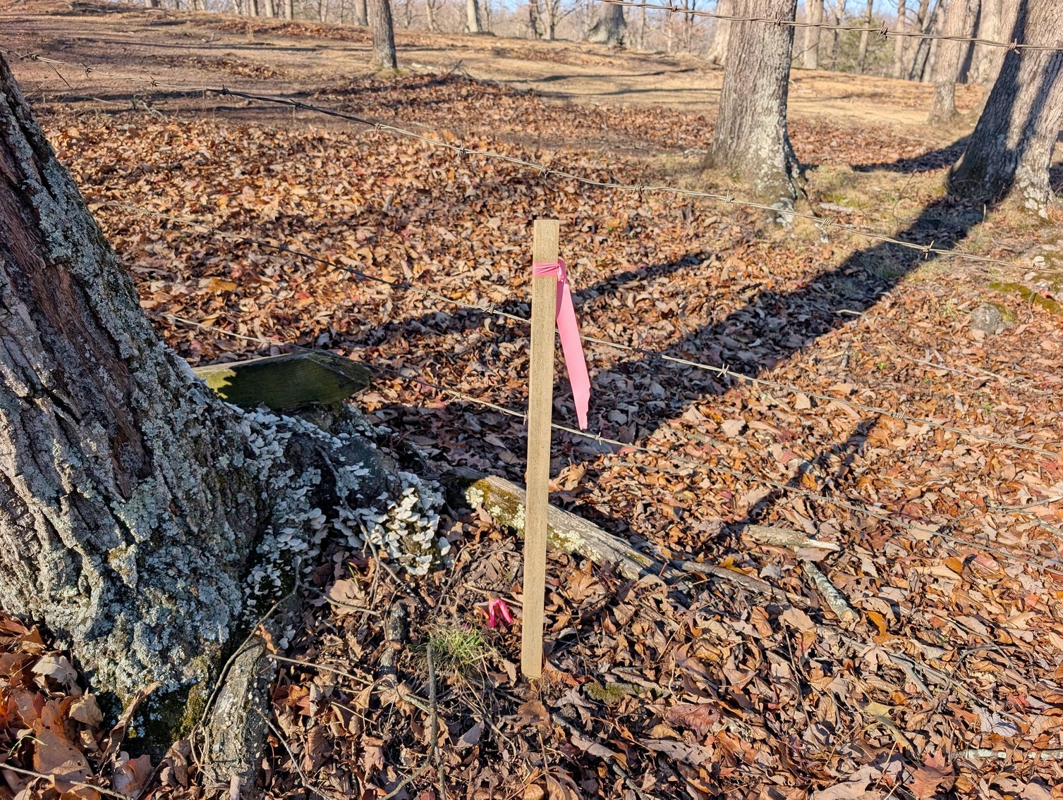 Image for 8.4 +/- Acres Near Winchester VA