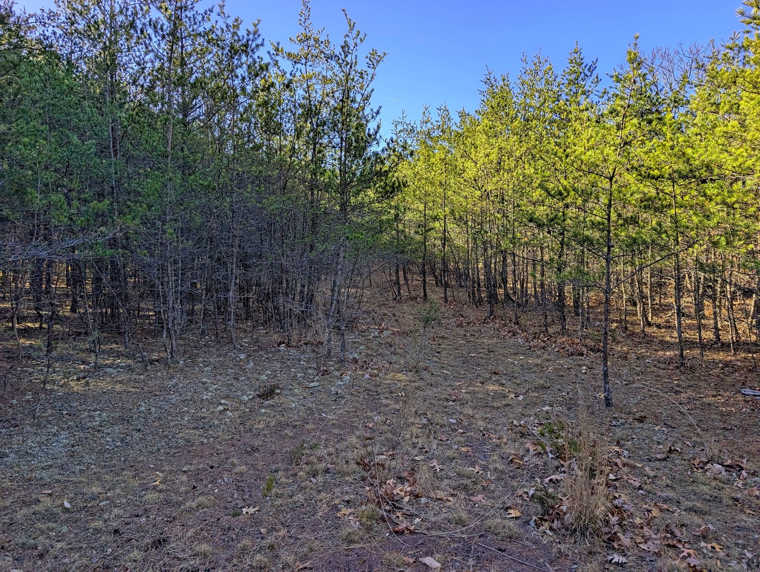 Image for 8.4 +/- Acres Near Winchester VA