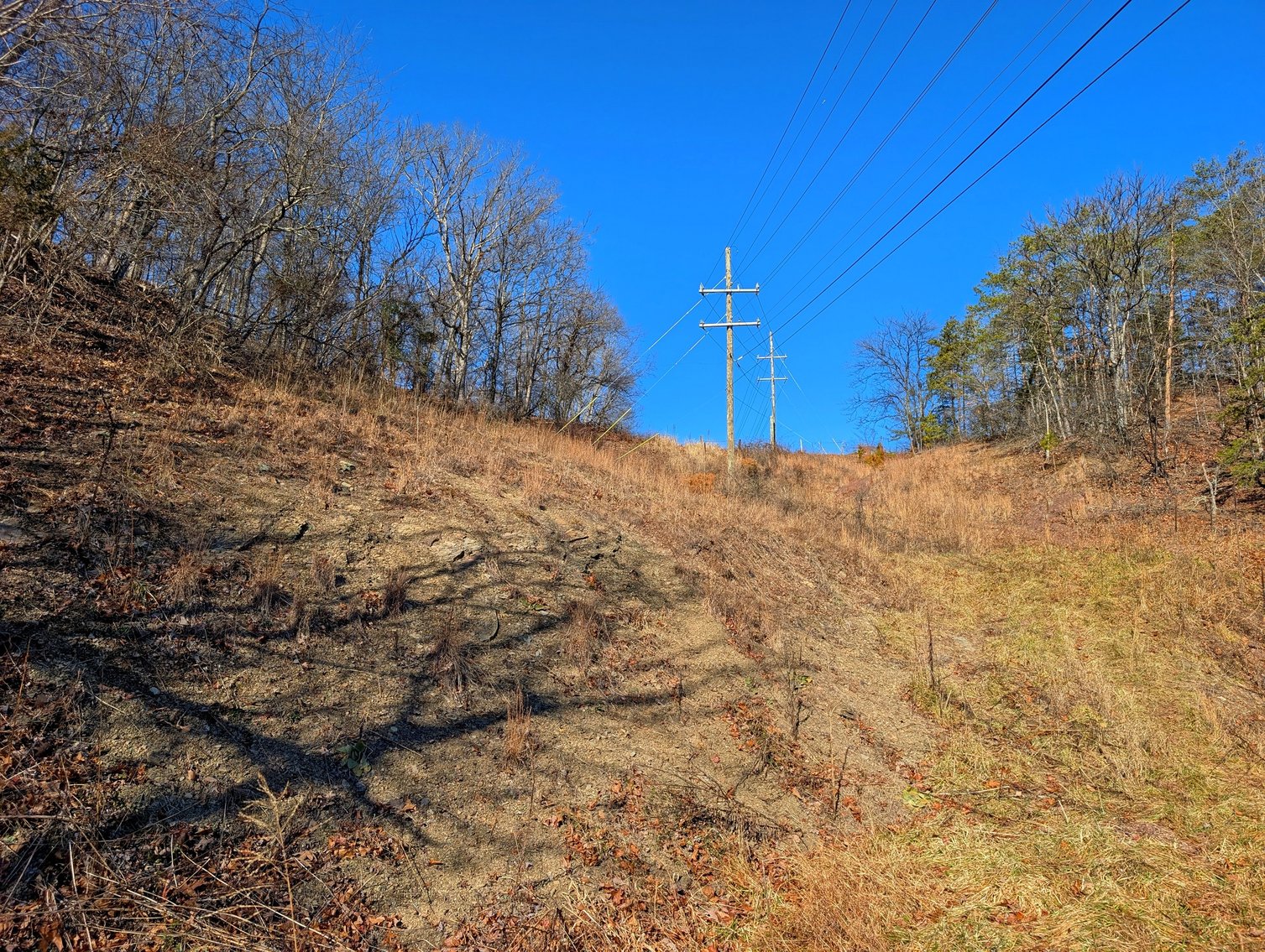Image for 8.4 +/- Acres Near Winchester VA