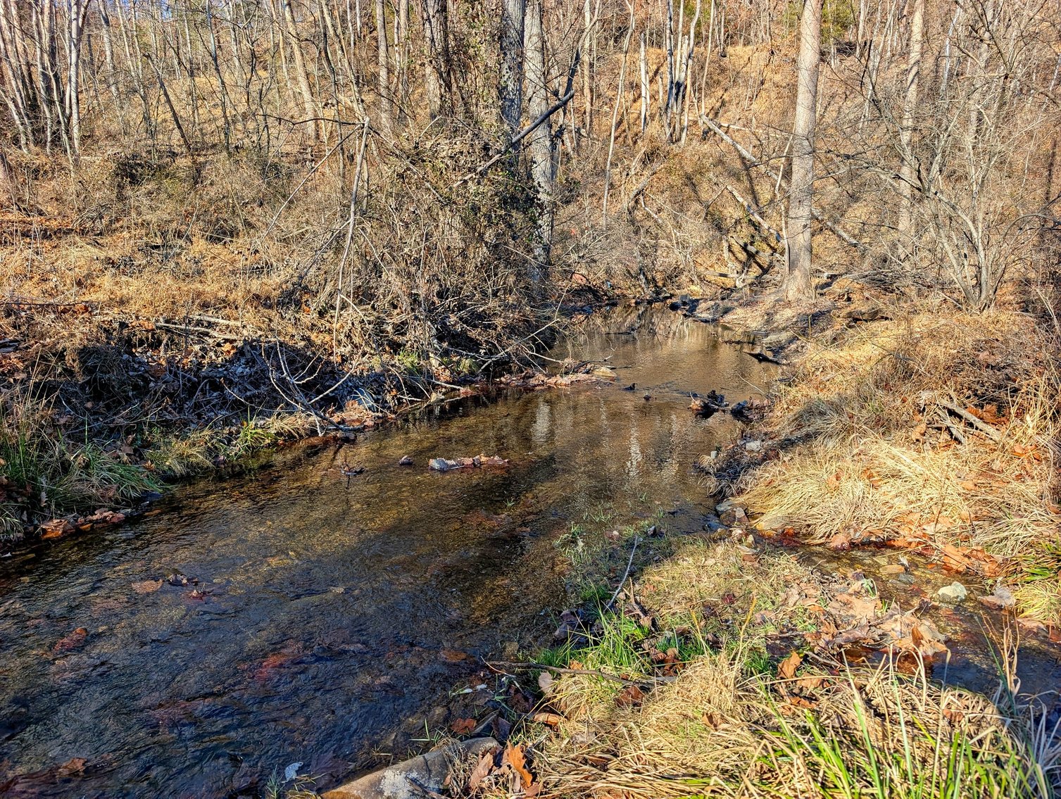 Image for 8.4 +/- Acres Near Winchester VA