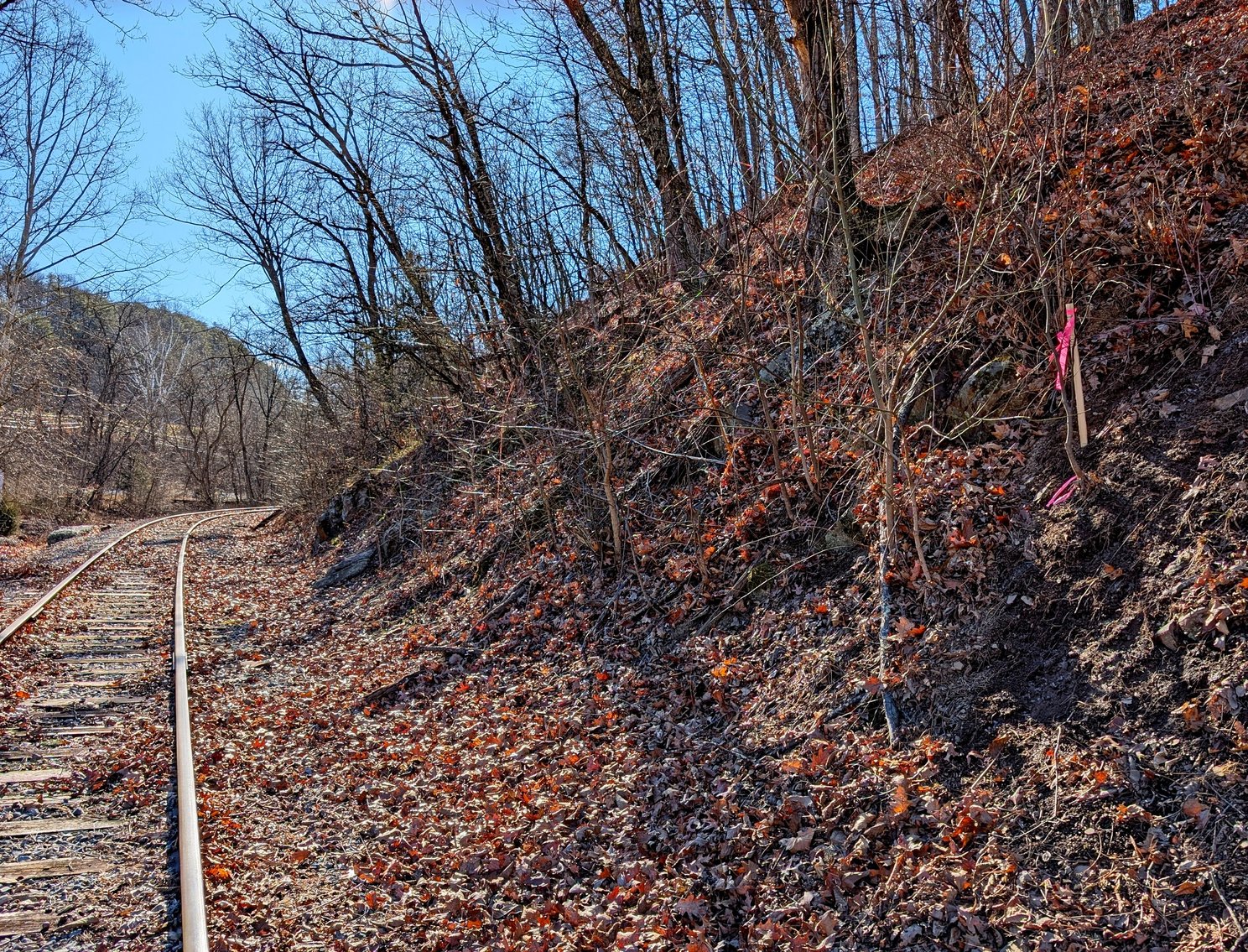 Image for 8.4 +/- Acres Near Winchester VA