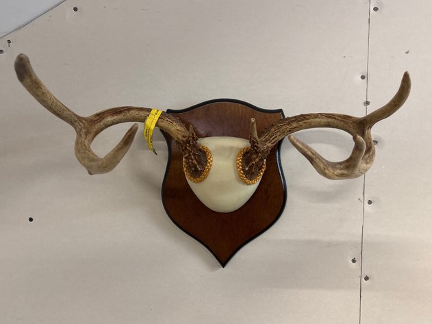 Image for It's Still Cold