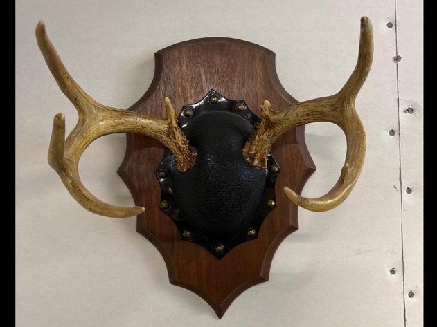 Image for It's Still Cold