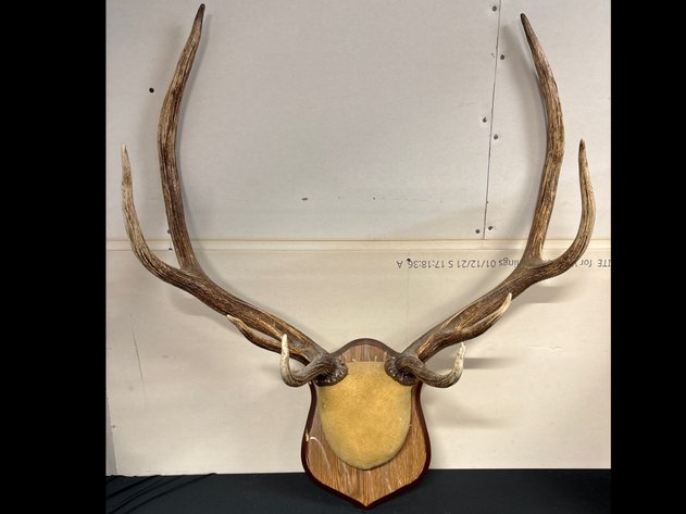 Image for It's Still Cold