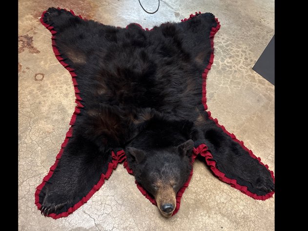 Image for It's Still Cold