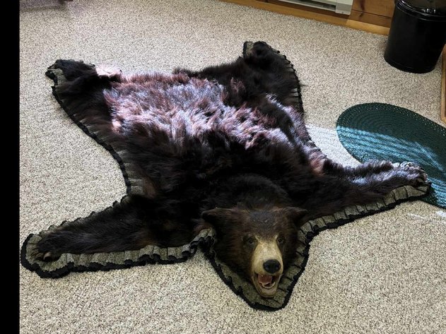 Image for It's Still Cold