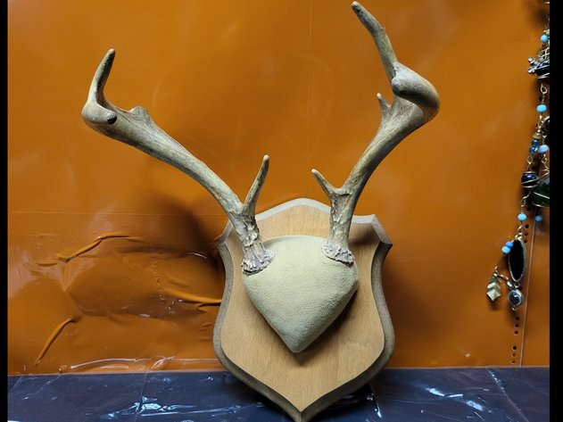 Image for Almost Springtime